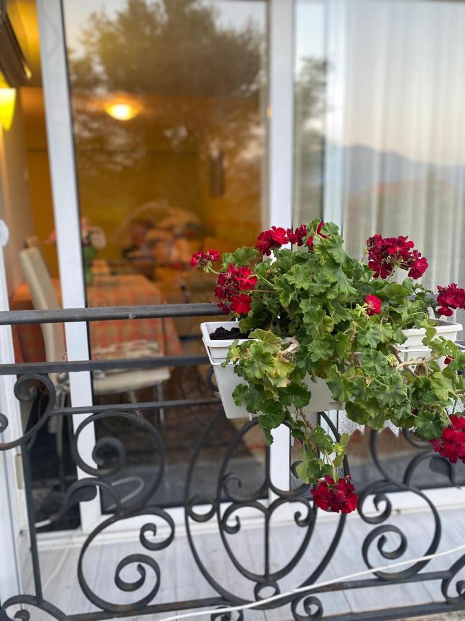 Villa Mare Apartments Tivat Exteriör bild