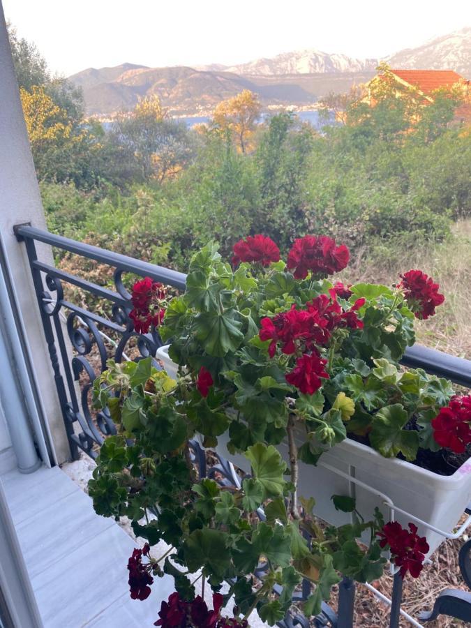 Villa Mare Apartments Tivat Exteriör bild